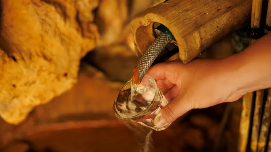 Sengakukan, the Inn of Carbonated Springs