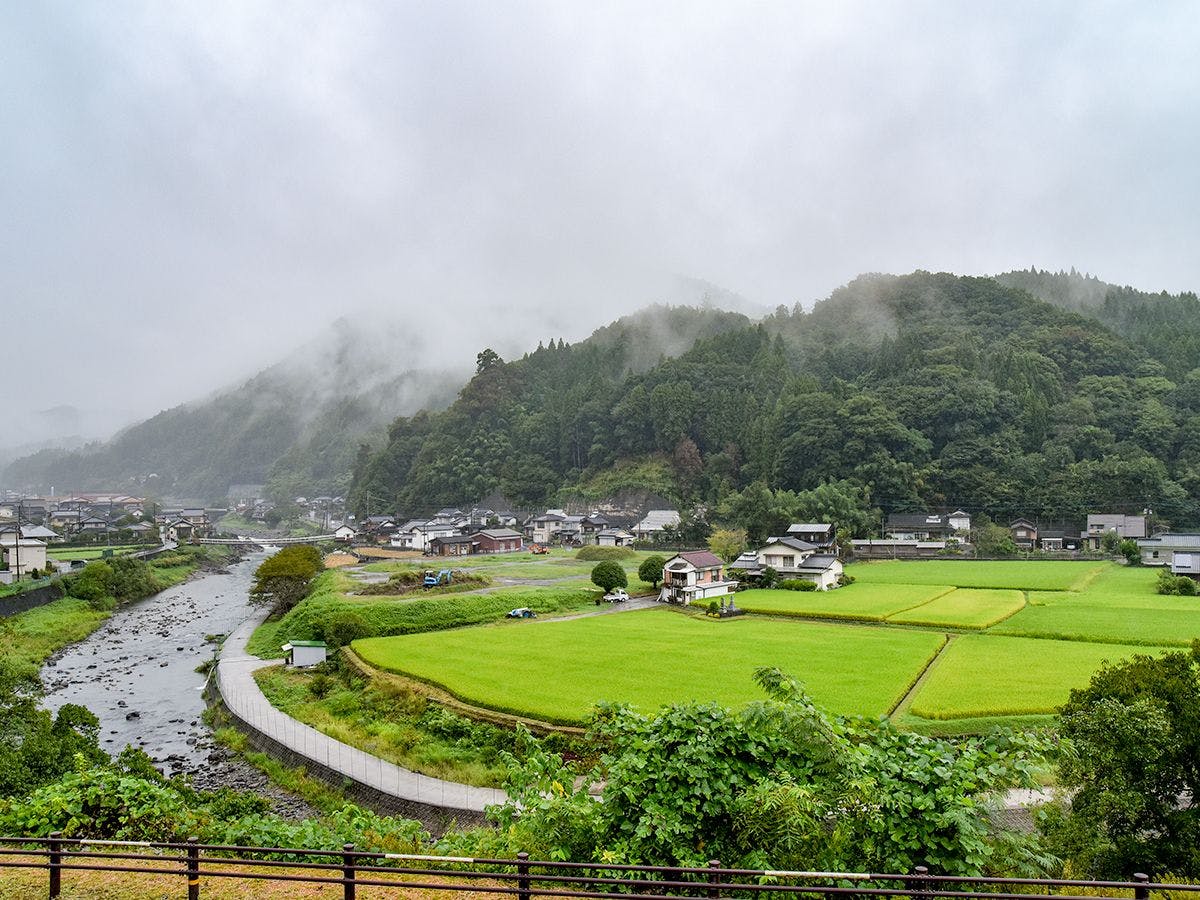 วิวจากที่พัก.