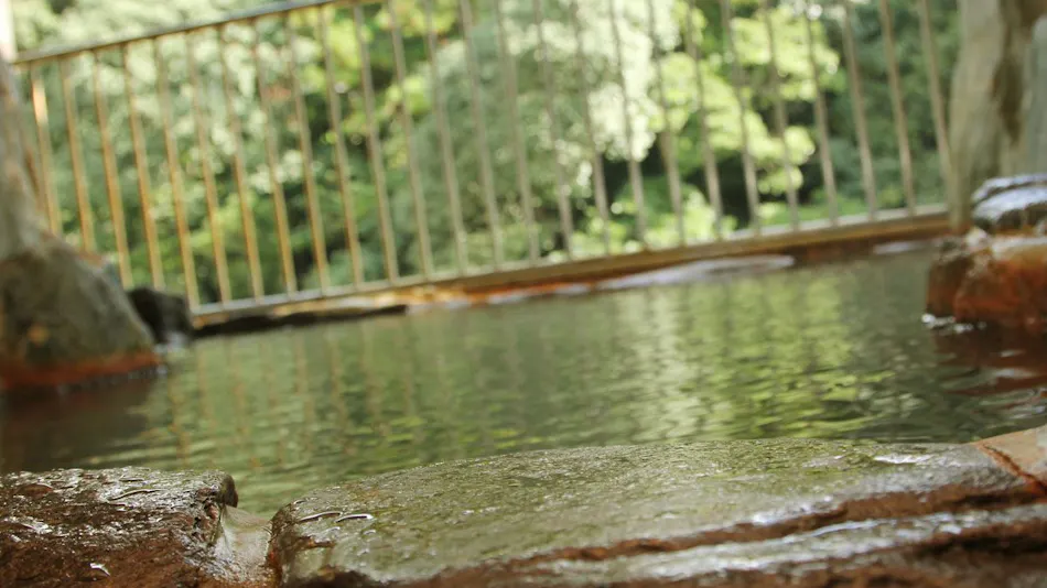 Ryokan Hisago