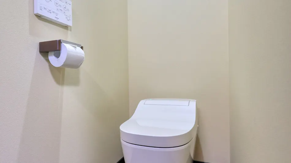 Pet-Friendly Accommodation: Animale