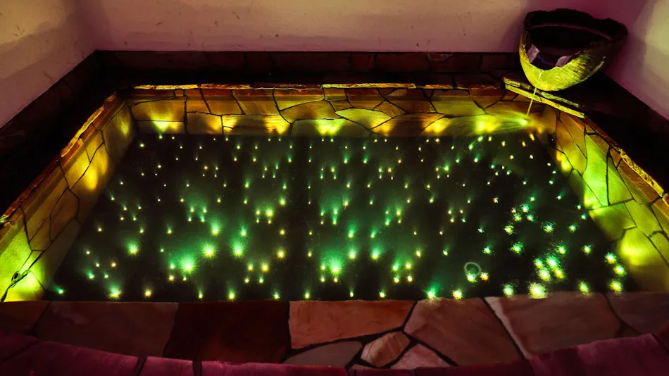 Pet-Friendly Accommodation: Animale