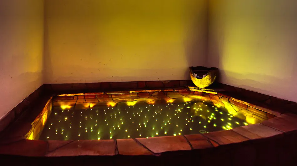 Pet-Friendly Accommodation: Animale