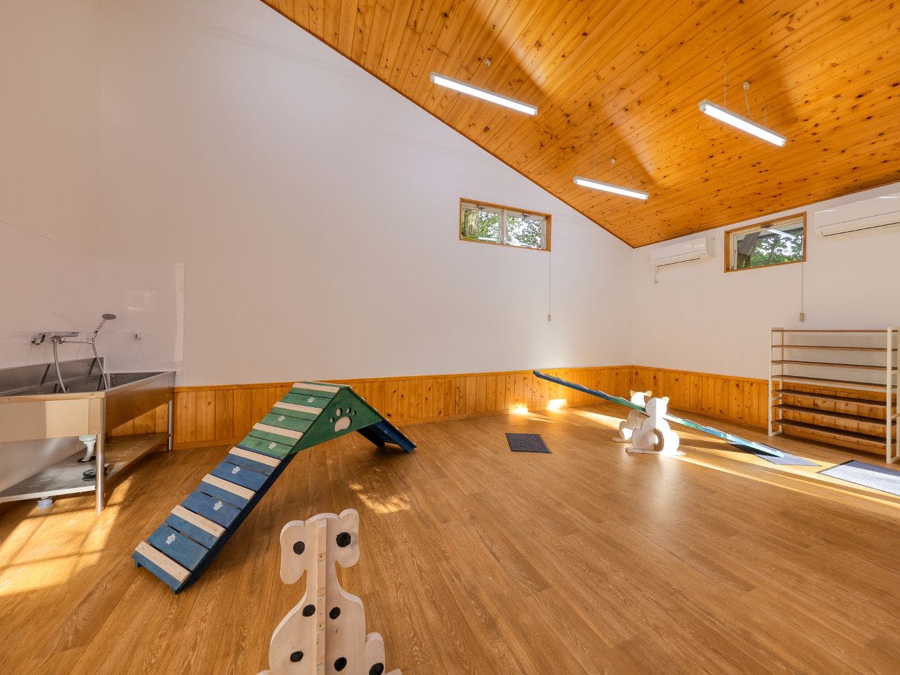 สนามวิ่งเล่นสำหรับสุนัขในร่ม