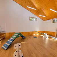 Area bermain anjing dalam ruangan