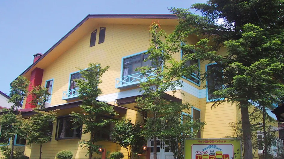 Pet-Friendly Accommodation: Animale