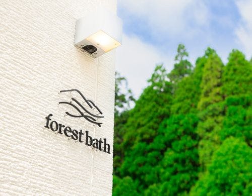 forest bath