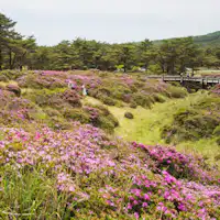 ที่ราบสูงคิริชิมะและมิยามะคิริชิมะ