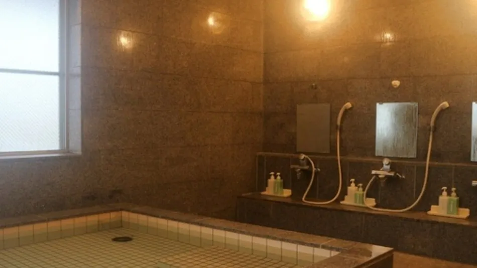 Business Ryokan/Hotel Satsuma