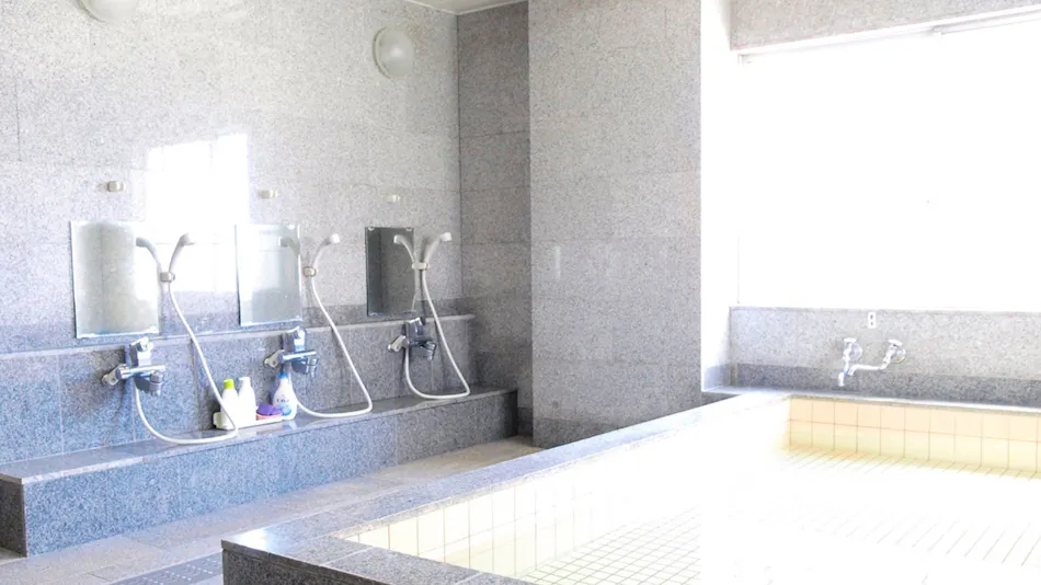 Business Ryokan/Hotel Satsuma