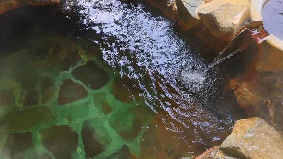 Sasakura Onsen Ryuunso