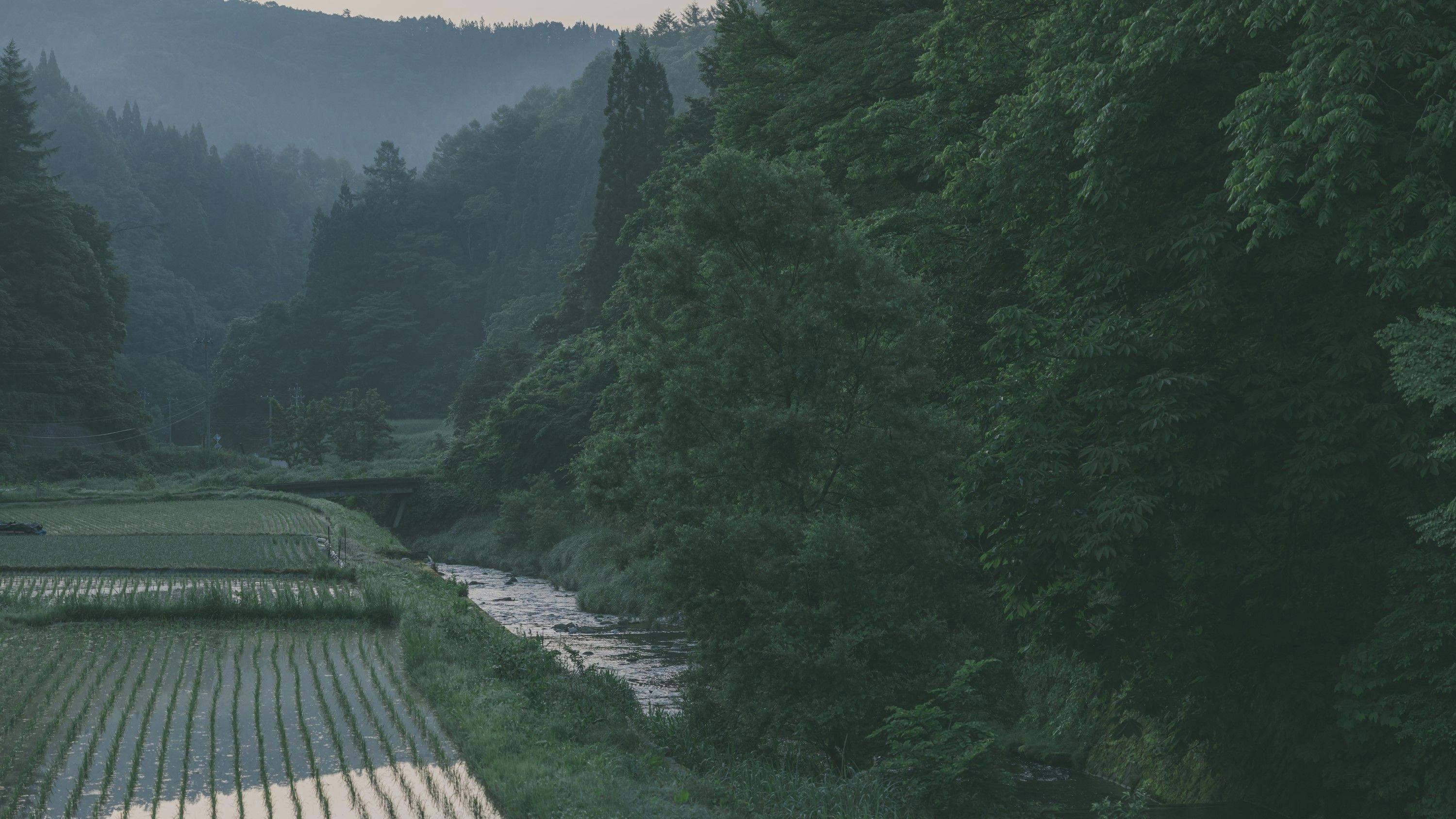 ทิวทัศน์ชนบทในหุบเขา