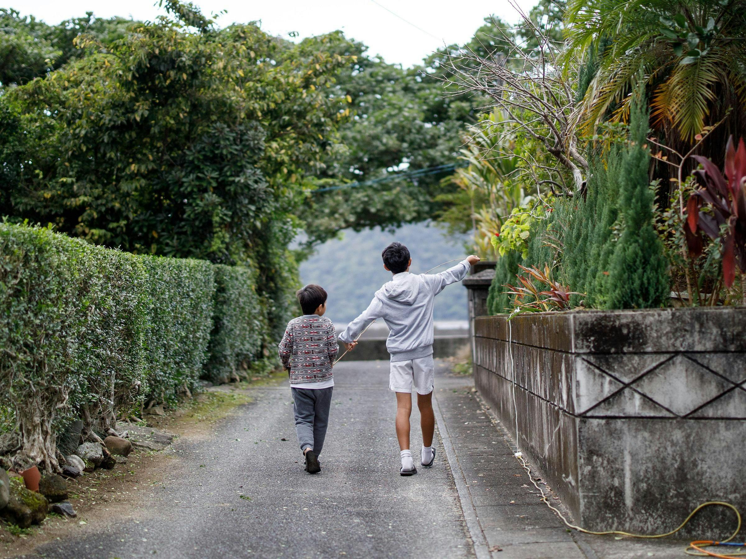 ทัศนียภาพรอบ ๆ "บ้านลิลลี่"