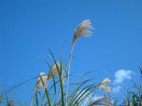 ＰＡＩ　ＢＡＳＥ　ＲＥＳＯＲＴ　＜宮古島＞