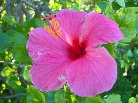 ＰＡＩ　ＢＡＳＥ　ＲＥＳＯＲＴ　＜宮古島＞