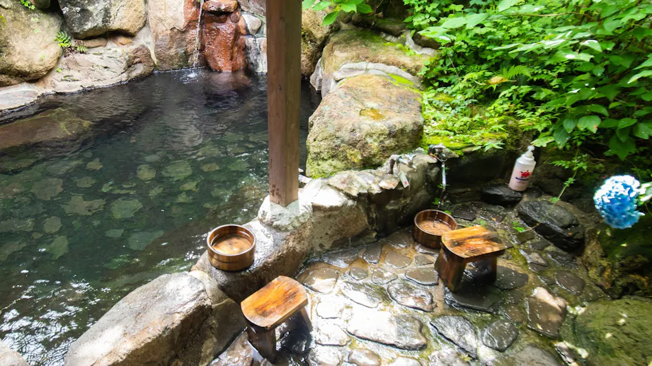 Kuyuspa Onsen Ryokan Seifuso