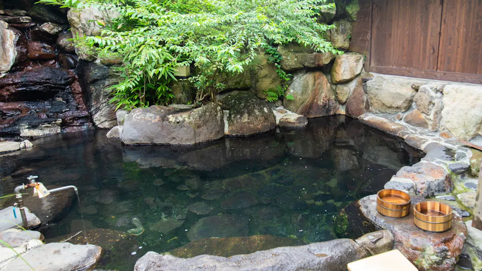 Kuyuspa Onsen Ryokan Seifuso
