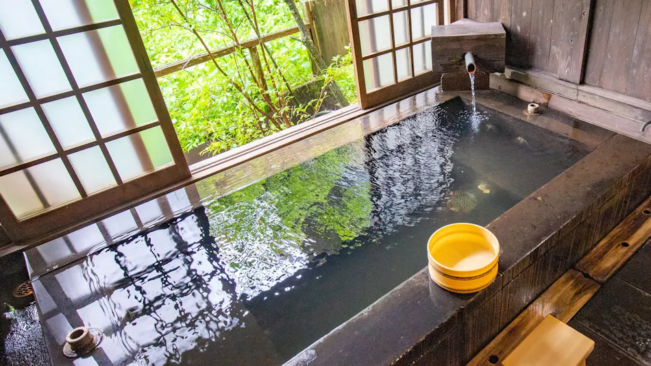 Kuyuspa Onsen Ryokan Seifuso