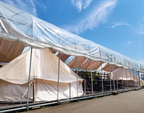 コットンテント２棟