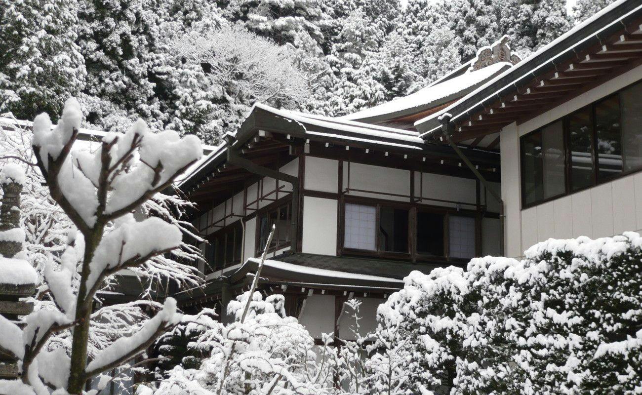 Kongosanmaiin