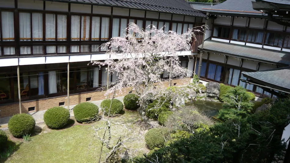 Kongosanmaiin