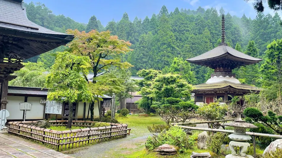 Kongosanmaiin