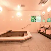 Contoh Pemandian Umum