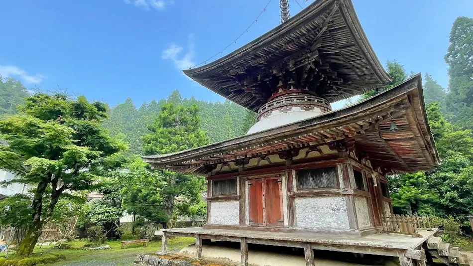 Kongosanmaiin