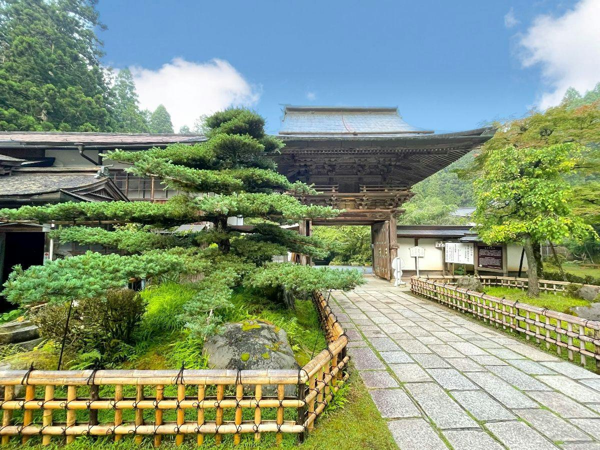 Kongosanmaiin