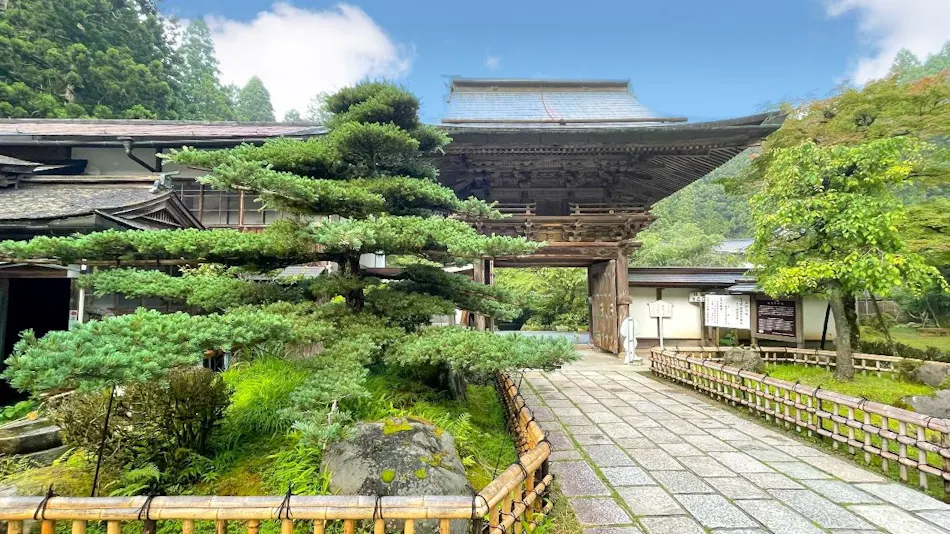 Kongosanmaiin