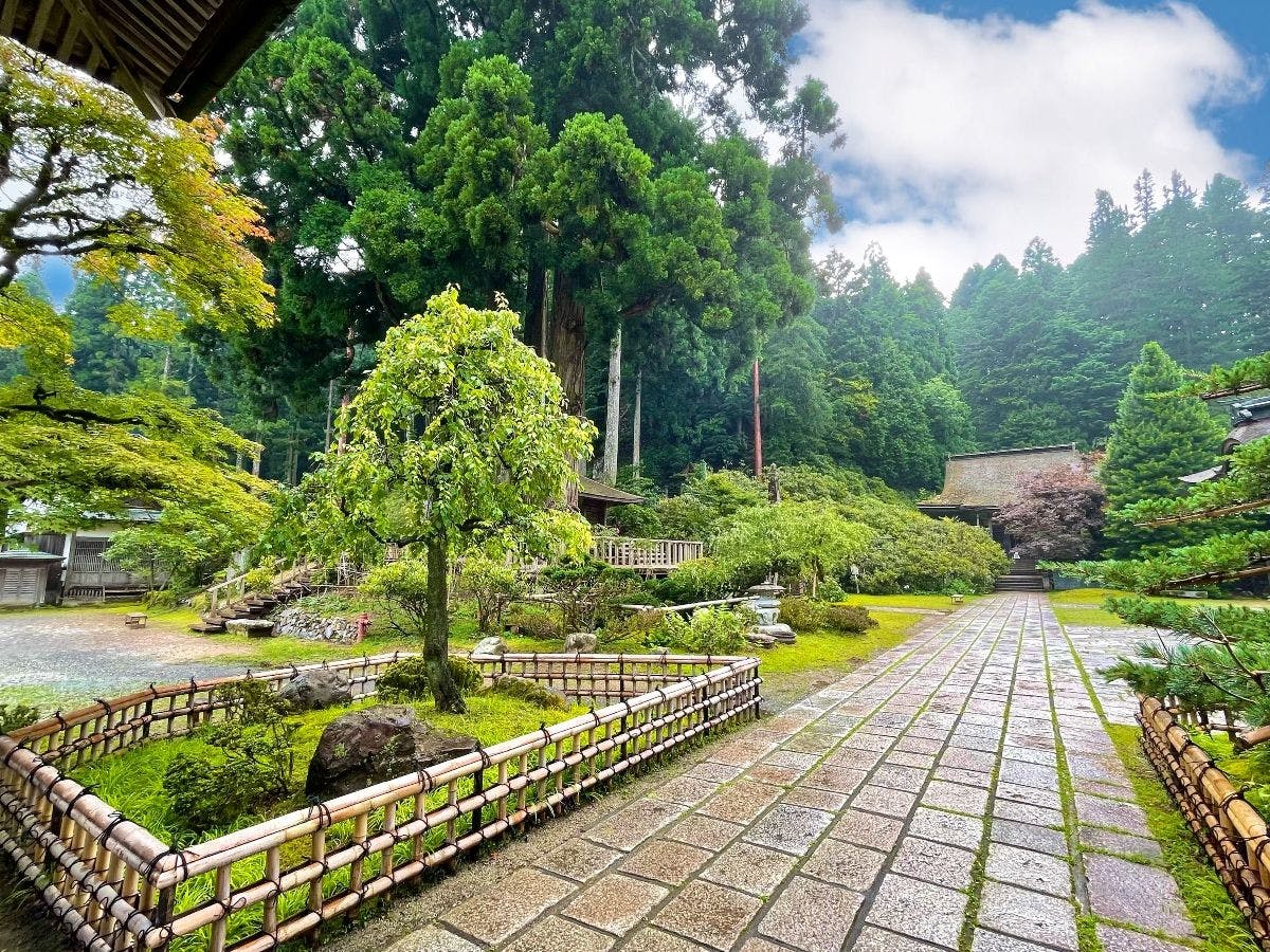 Kongosanmaiin