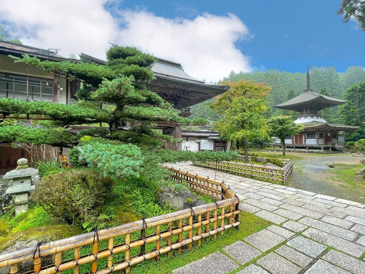 Kongosanmaiin