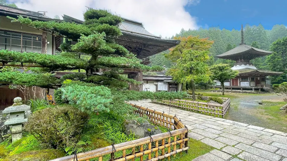 Kongosanmaiin