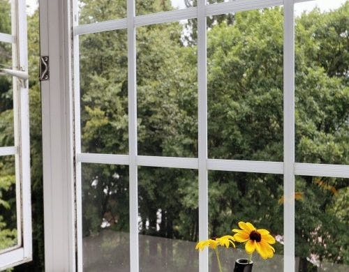 ツインルームＢ（小型～大型犬向き）