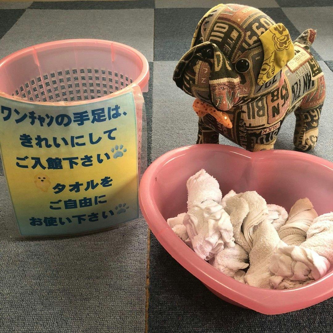 반려동물용 발 닦는 타월