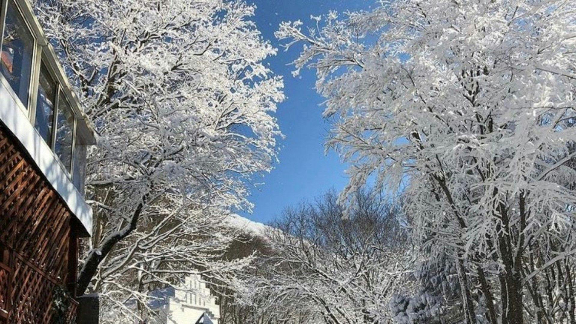 수빙이 아름답습니다