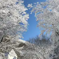 수빙이 아름답습니다