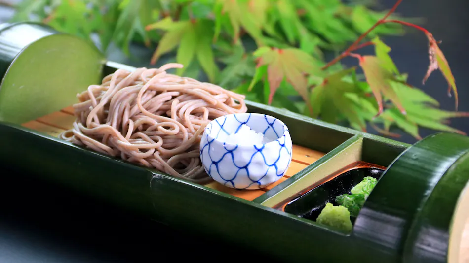 Ryokan Katagiya