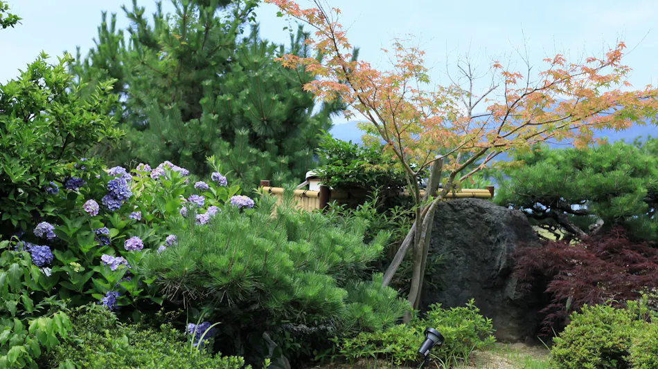 Jinpuso Inn with a View of Amanohashidate, One of Japan's Three Scenic Views