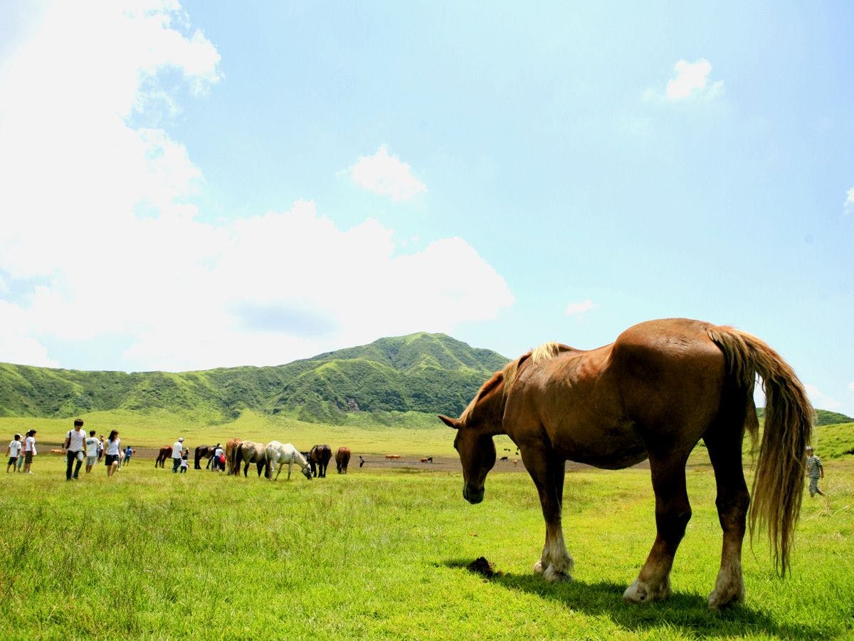 อาโสะ คุสะเซ็นริ