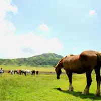 อาโสะ คุสะเซ็นริ