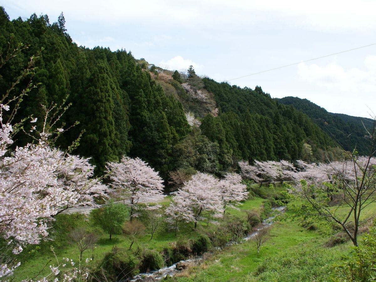 Hotto Hirayama