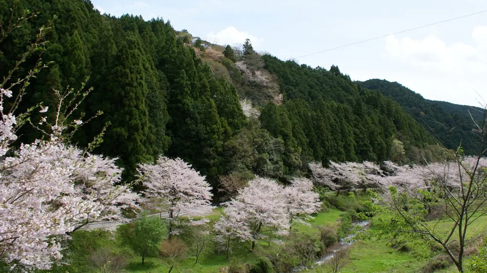Hotto Hirayama