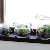 การตกแต่งภายใน