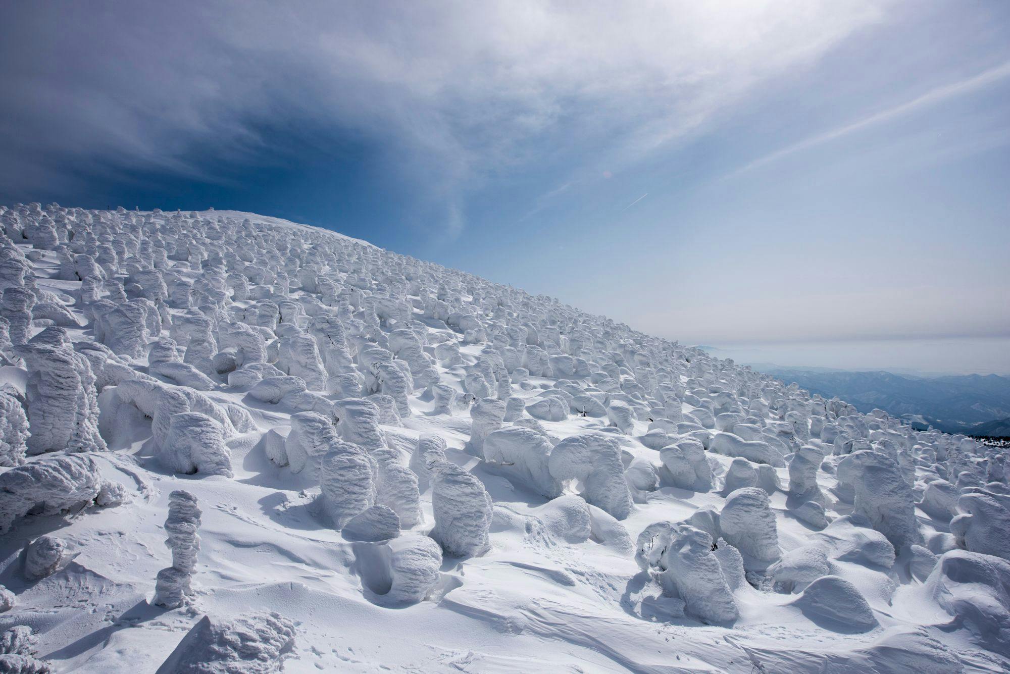 ต้นน้ำแข็ง