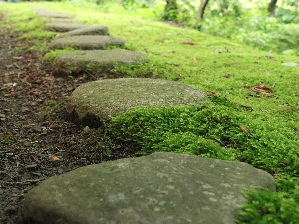 조용한 시간을 보내세요.