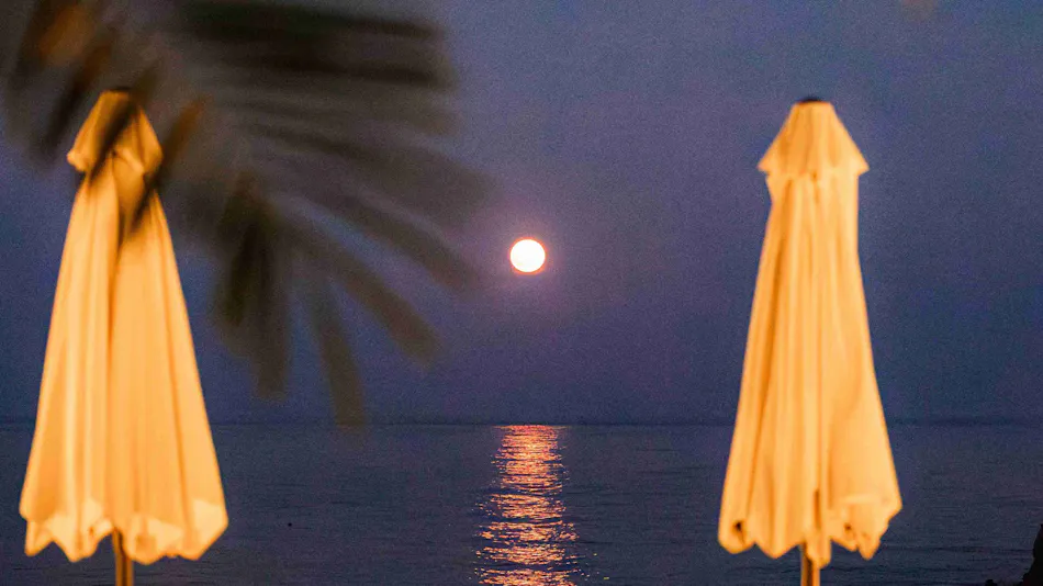 Beach Front Seretis