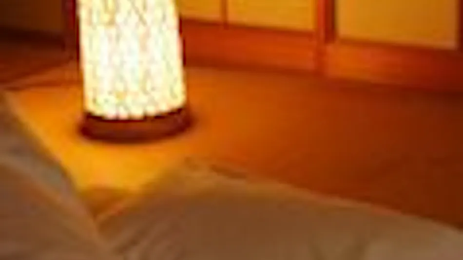 Beppu Onsen Private Source Flowing Stays Shinhorii