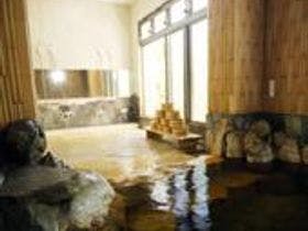 自家源泉かけ流しの宿 新ほり井