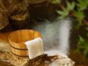 自家源泉かけ流しの宿 新ほり井