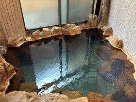 自家源泉かけ流しの宿 新ほり井